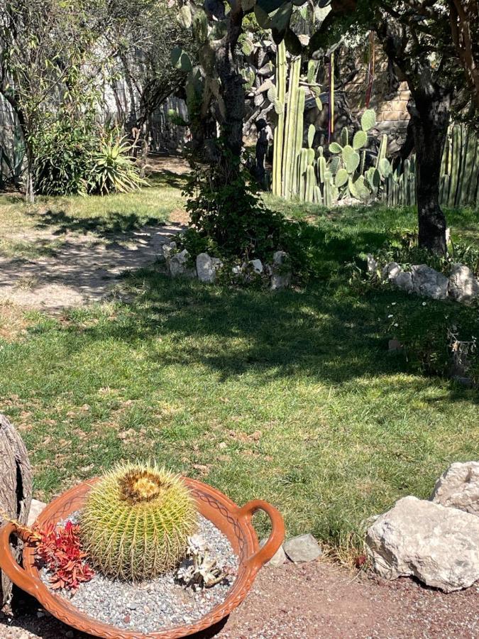 Boutique La Posada De Don Luis ベルナル エクステリア 写真