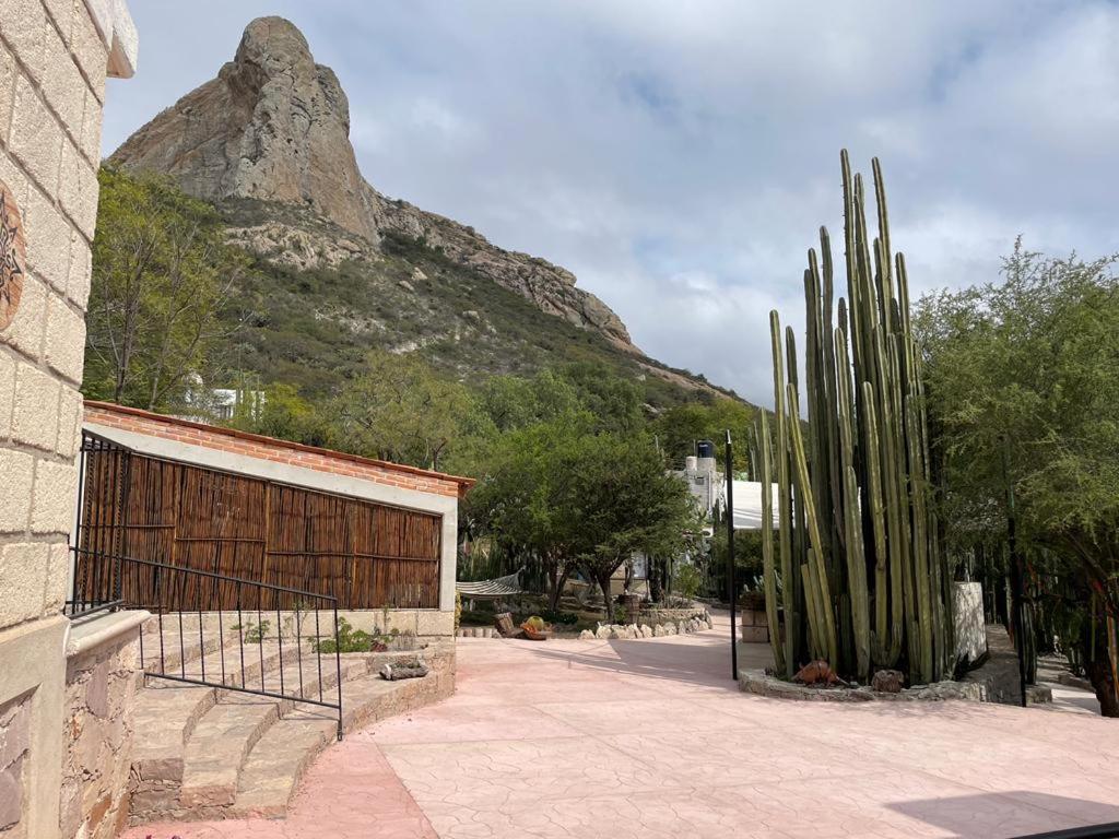 Boutique La Posada De Don Luis ベルナル エクステリア 写真
